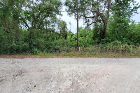 Land in Dade City, Florida № 1555335 - photo 6