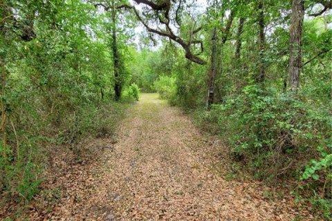 Land in Dade City, Florida № 1555335 - photo 16