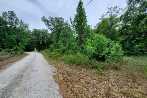Land in Dade City, Florida № 1555335 - photo 18