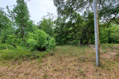 Land in Dade City, Florida № 1555335 - photo 19