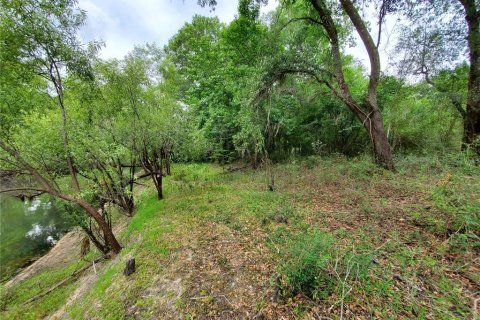 Land in Dade City, Florida № 1555335 - photo 7