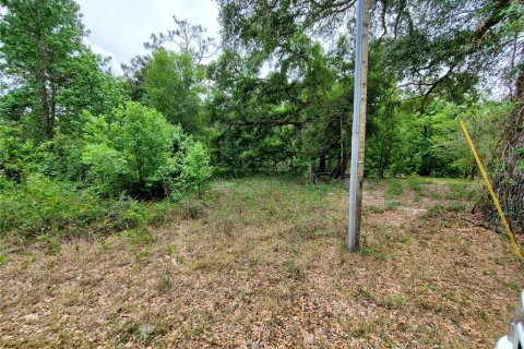 Land in Dade City, Florida № 1555335 - photo 17