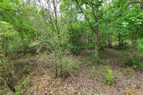 Land in Dade City, Florida № 1555335 - photo 12