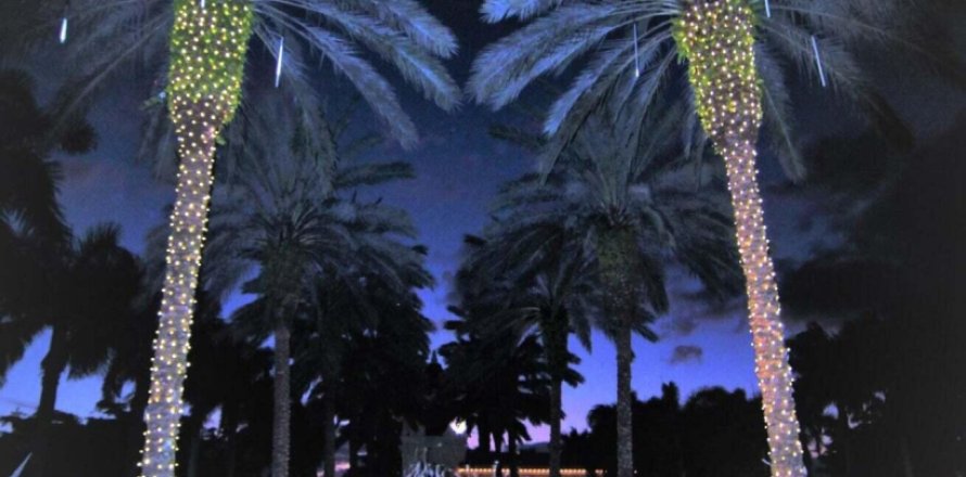 Villa ou maison à Delray Beach, Floride 3 chambres, 218.6 m2 № 1061145