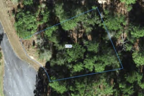 Land in Citrus Springs, Florida № 2388278