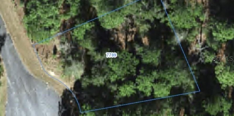 Land in Citrus Springs, Florida № 2388278