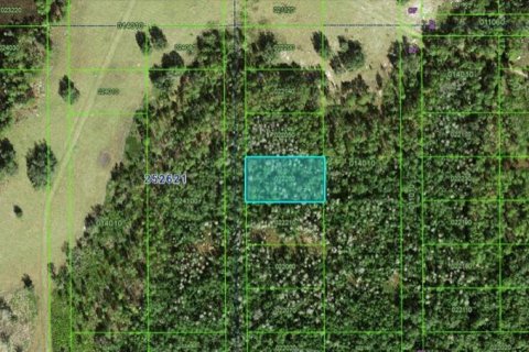 Land in Polk City, Florida № 2162222 - photo 2
