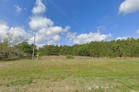 Land in Polk City, Florida № 2162222 - photo 3