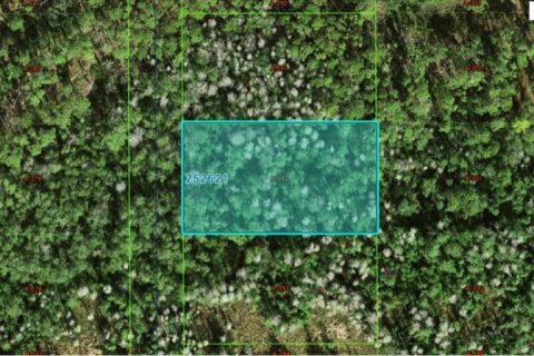 Land in Polk City, Florida № 2162222
