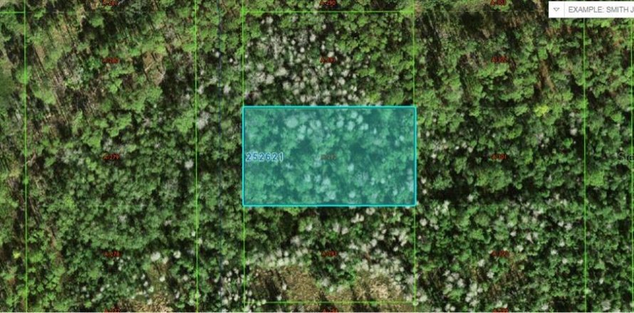 Land in Polk City, Florida № 2162222
