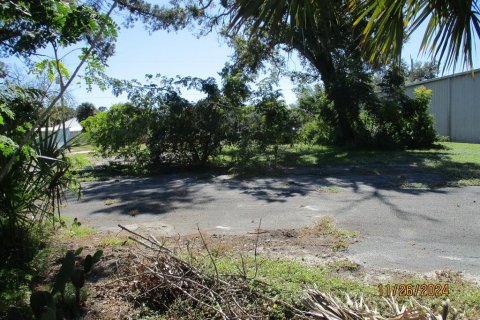 Immobilier commercial à vendre à Okeechobee, Floride: 88.81 m2 № 1792770 - photo 5