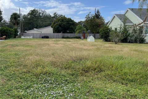 Land in Sanford, Florida № 1550045 - photo 1