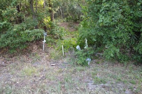 Land in Crescent City, Florida № 768107 - photo 1