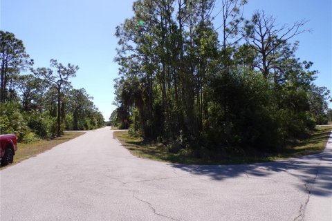 Terrain à vendre à Punta Gorda, Floride № 2228900 - photo 3