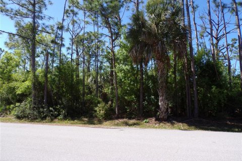 Terrain à vendre à Punta Gorda, Floride № 2228900 - photo 6