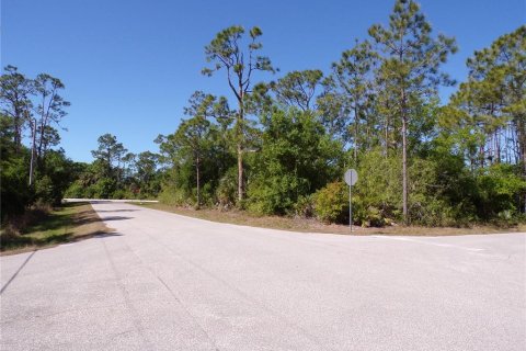 Terrain à vendre à Punta Gorda, Floride № 2228900 - photo 11