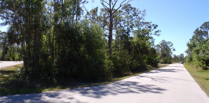Terrain à Punta Gorda, Floride № 2228900