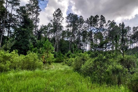 House in Chiefland, Florida 3 bedrooms, 84.73 sq.m. № 1842099 - photo 22