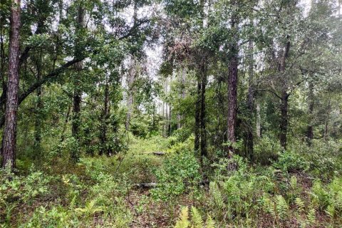 House in Chiefland, Florida 3 bedrooms, 84.73 sq.m. № 1842099 - photo 25