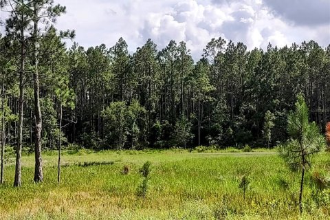House in Chiefland, Florida 3 bedrooms, 84.73 sq.m. № 1842099 - photo 20