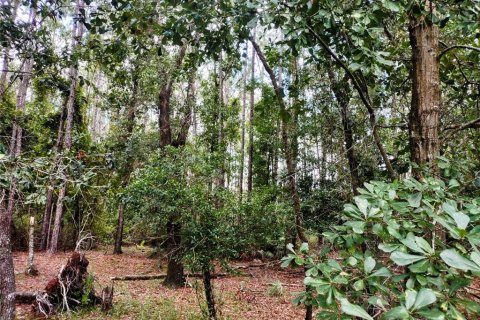 House in Chiefland, Florida 3 bedrooms, 84.73 sq.m. № 1842099 - photo 27