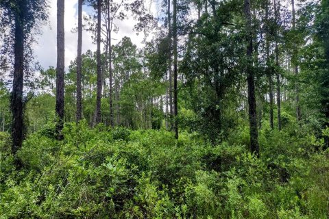 House in Chiefland, Florida 3 bedrooms, 84.73 sq.m. № 1842099 - photo 28