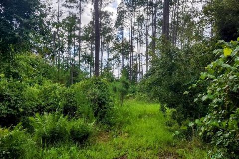 House in Chiefland, Florida 3 bedrooms, 84.73 sq.m. № 1842099 - photo 30