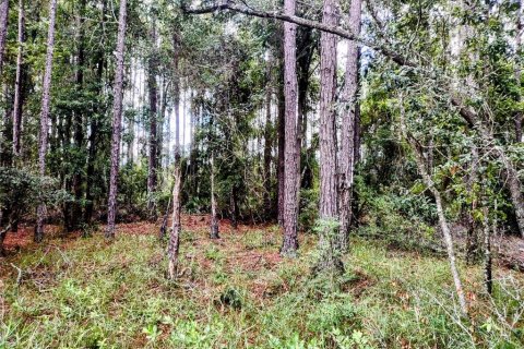 House in Chiefland, Florida 3 bedrooms, 84.73 sq.m. № 1842099 - photo 26