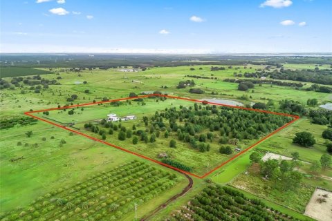 Terrain à Leesburg, Floride № 2211556
