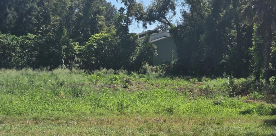 Terreno en Winter Haven, Florida № 2208509