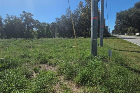 Terreno en venta en Winter Haven, Florida № 2208509 - foto 3