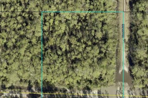 Land in Hastings, Florida № 2162732