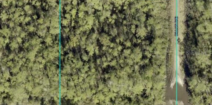 Land in Hastings, Florida № 2162732