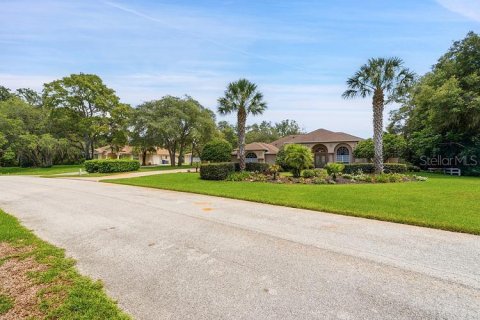 Villa ou maison à vendre à Weeki Wachee, Floride: 3 chambres, 303.05 m2 № 2298099 - photo 7