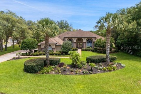Villa ou maison à Weeki Wachee, Floride 3 chambres, 303.05 m2 № 2298099