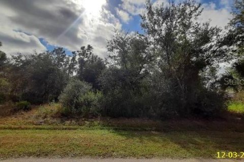 Land in Punta Gorda, Florida № 2159912