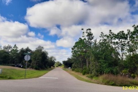 Land in Punta Gorda, Florida № 2159912 - photo 2
