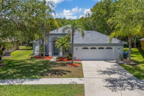 Casa en Oldsmar, Florida 4 dormitorios, 174.66 m2 № 2097003