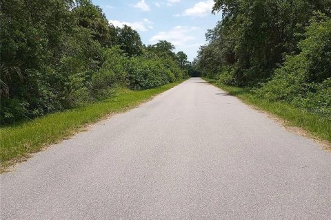 Land in Port Charlotte, Florida № 2163016 - photo 2