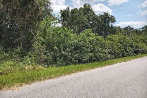 Land in Port Charlotte, Florida № 2163016