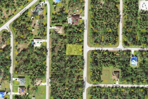 Land in Port Charlotte, Florida № 2231348 - photo 3
