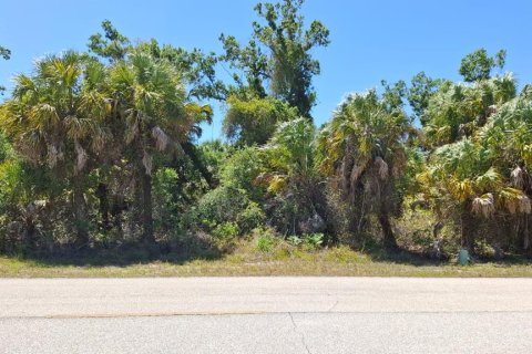 Land in Port Charlotte, Florida № 2231348 - photo 2