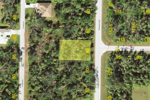 Land in Port Charlotte, Florida № 2231348 - photo 4