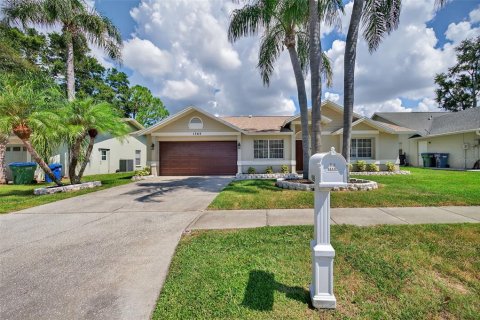 House in Palm Harbor, Florida 3 bedrooms, 189.71 sq.m. № 1909186 - photo 5