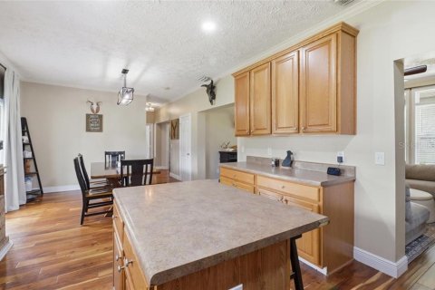 Villa ou maison à vendre à Lecanto, Floride: 5 chambres № 2404561 - photo 13
