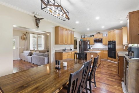 Villa ou maison à vendre à Lecanto, Floride: 5 chambres № 2404561 - photo 10