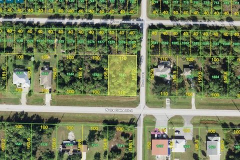 Land in Punta Gorda, Florida № 2388161 - photo 3