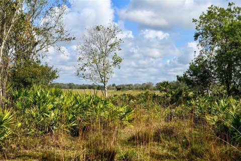 Terreno en venta en Arcadia, Florida № 1536443 - foto 12