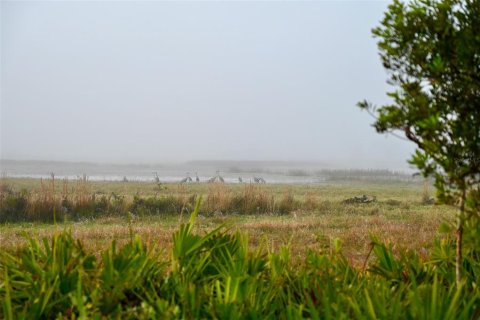 Terreno en venta en Arcadia, Florida № 1536443 - foto 16
