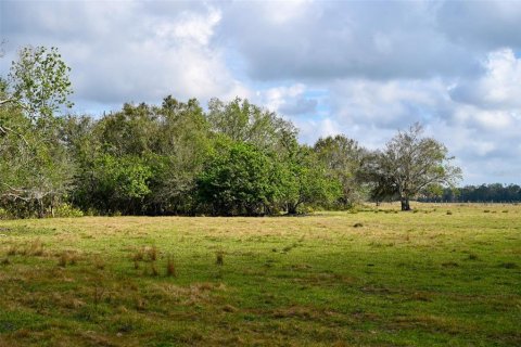Terreno en venta en Arcadia, Florida № 1536443 - foto 27